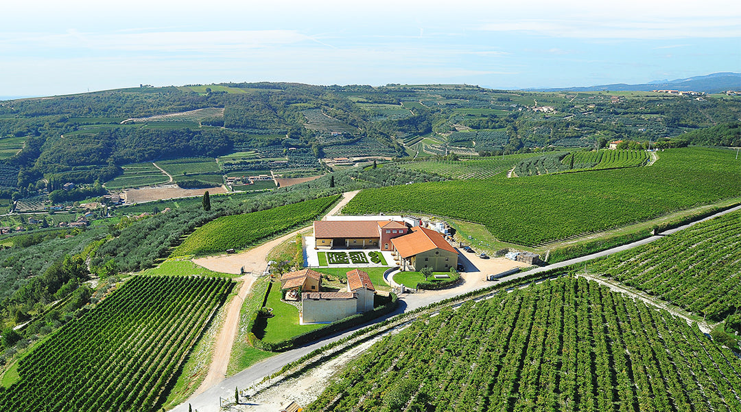 Tenuta Sant'Antonio