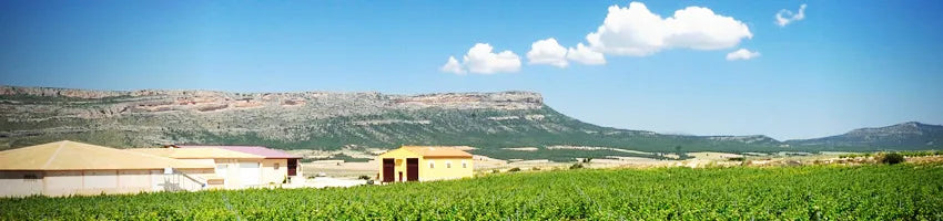 Bodegas Atalaya