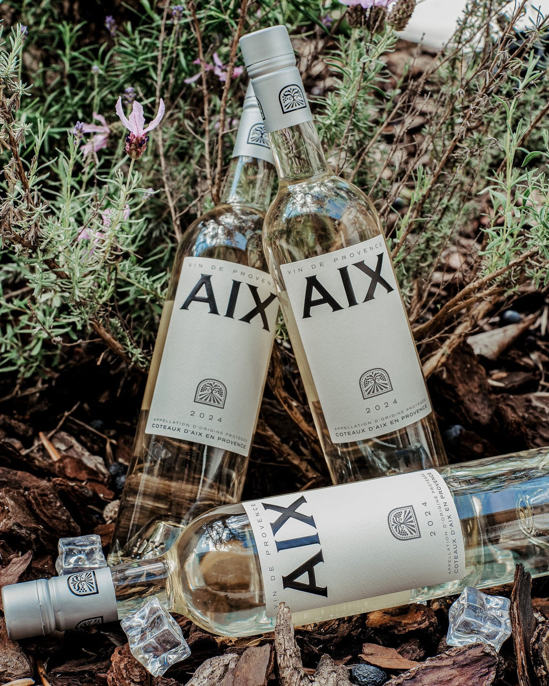 Wein des Monats Juni: AIX Blanc Provence 2024