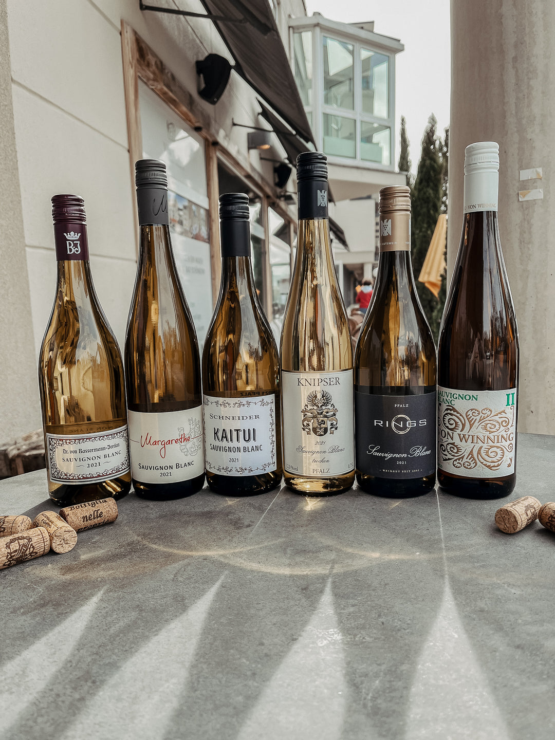 Pfälzer Weinpaket 2021 Sauvignon Blanc Neu
