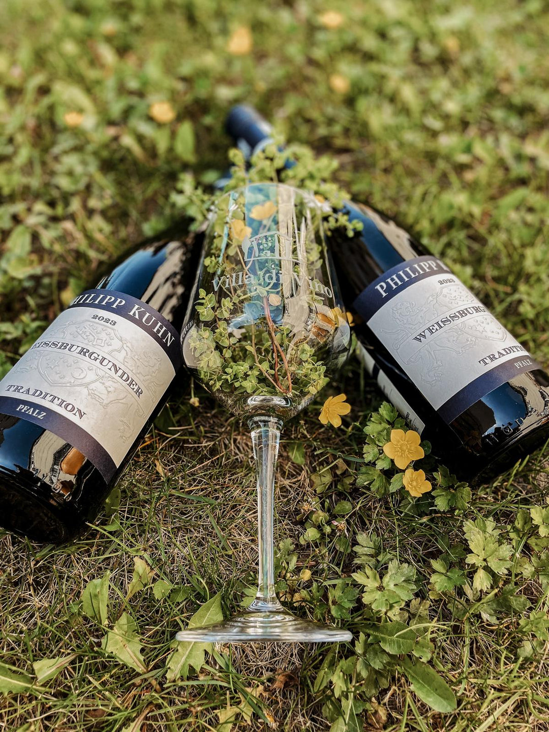 Wein des Monats Mai: Philipp Kuhn – Weissburgunder Tradition