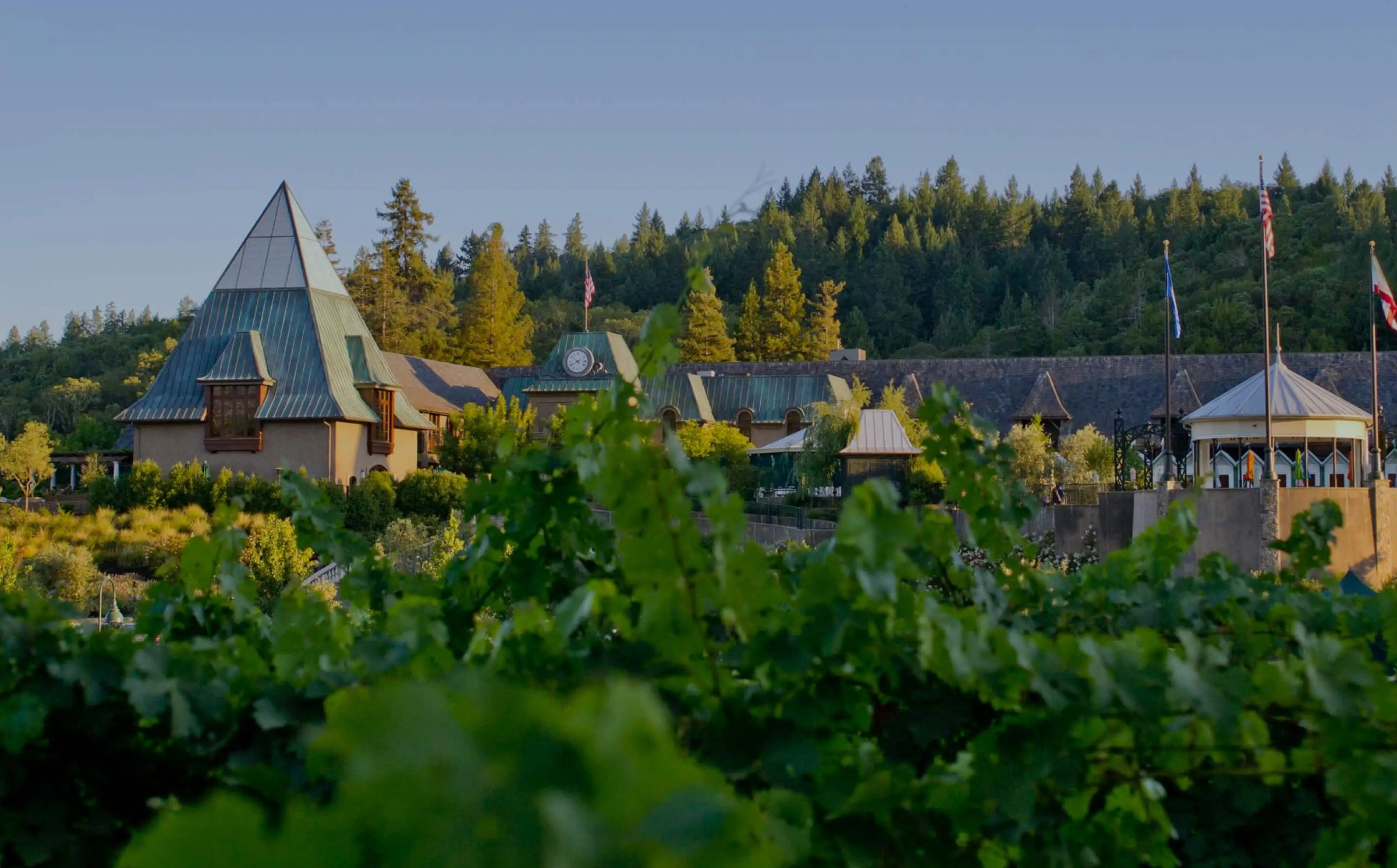 Francis Ford Coppola Winery