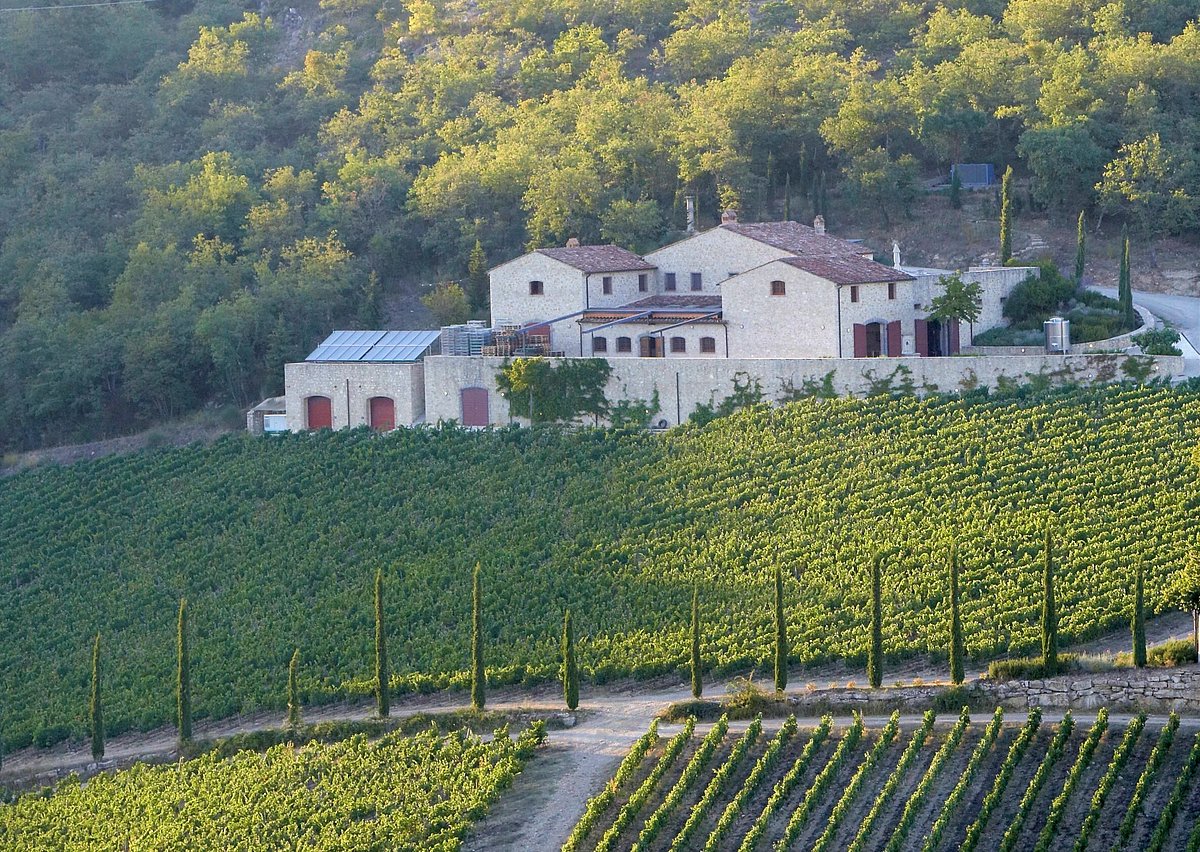 Brancaia