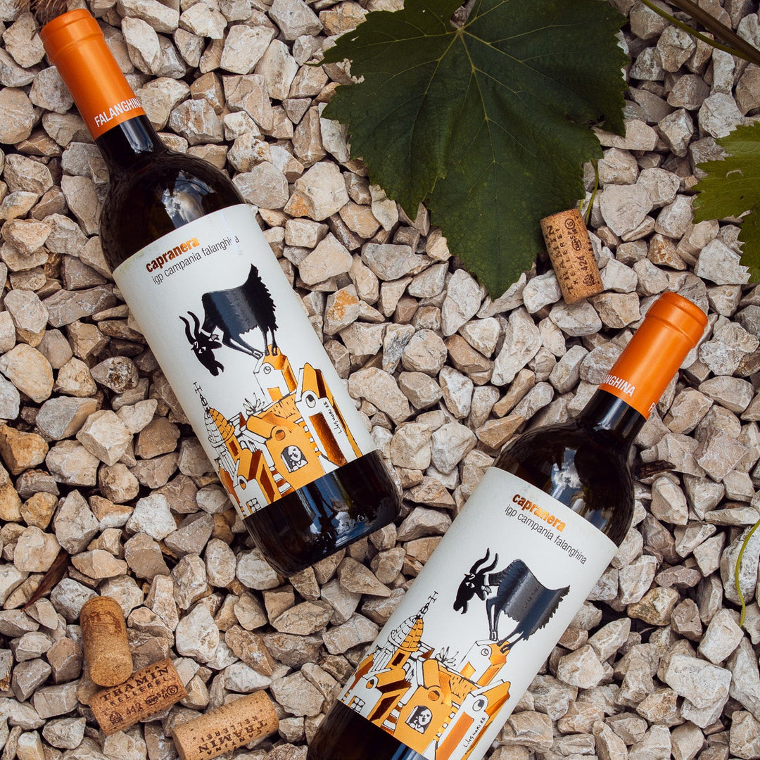 CAPRANERA Falanghina IGP 2025 - San Salvatore 1988
